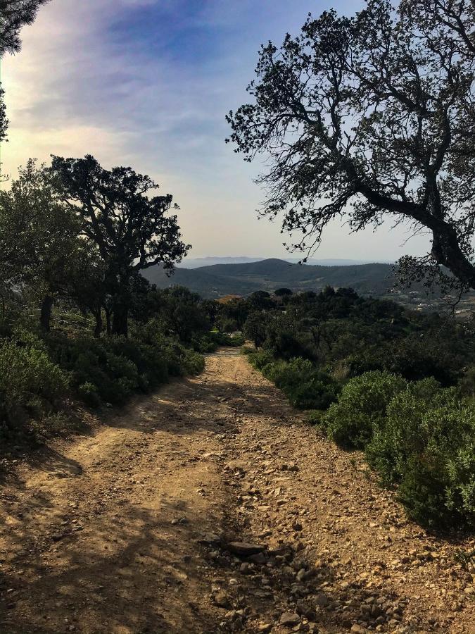 Maison De Vacances Medievale Bormes-Les-Mimosas Village מראה חיצוני תמונה