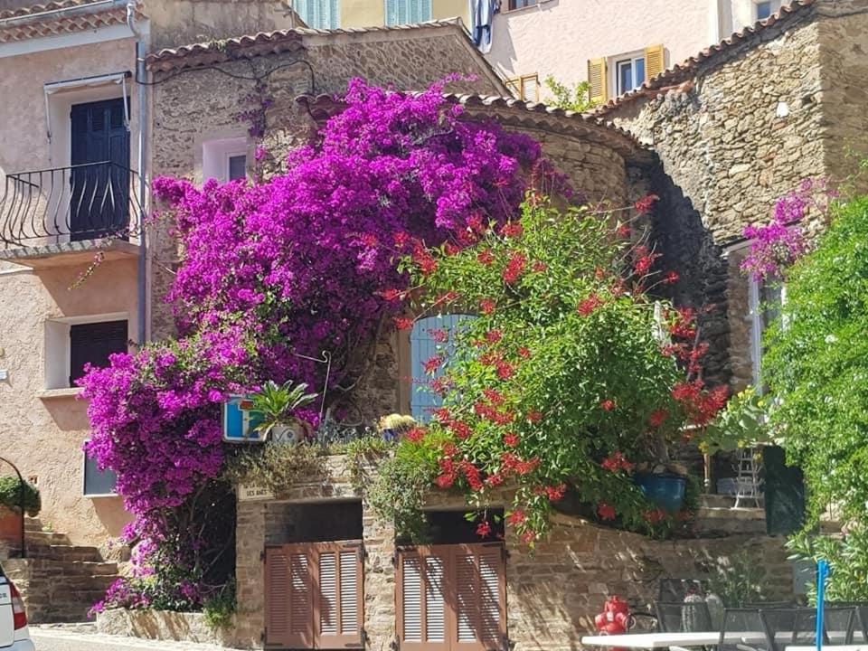 Maison De Vacances Medievale Bormes-Les-Mimosas Village מראה חיצוני תמונה