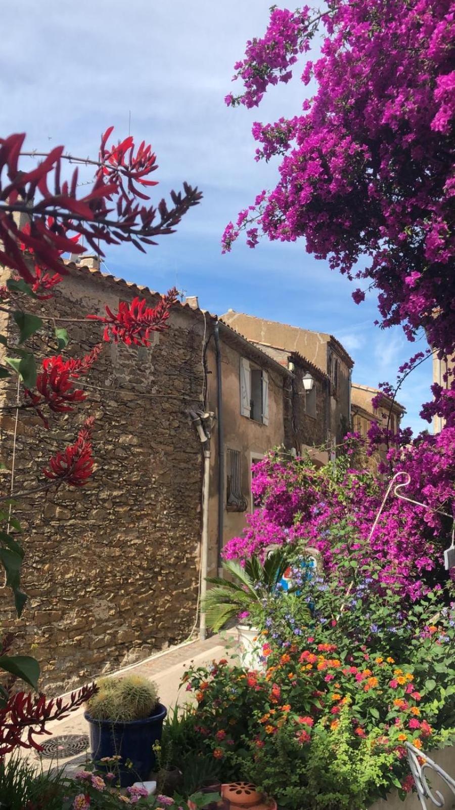 Maison De Vacances Medievale Bormes-Les-Mimosas Village מראה חיצוני תמונה